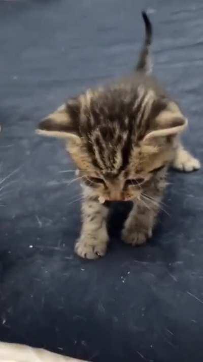 I had no choice but to meet his demands.