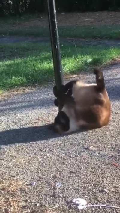 Work hard for the money