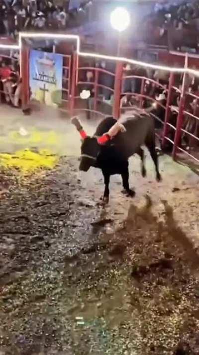 Rider Demolished & Ragdolled