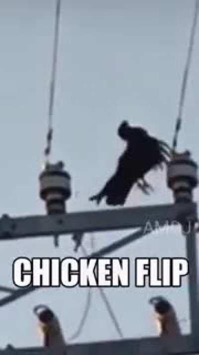 CHICKEN FLIP