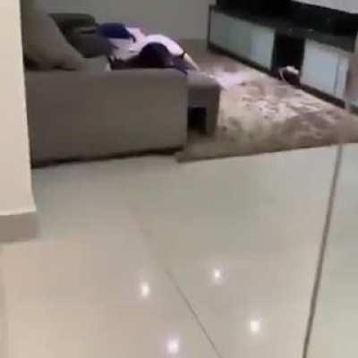 Party isn't over yet