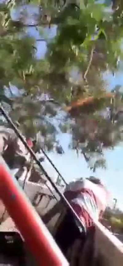 Ahí lo tenes al el boludo