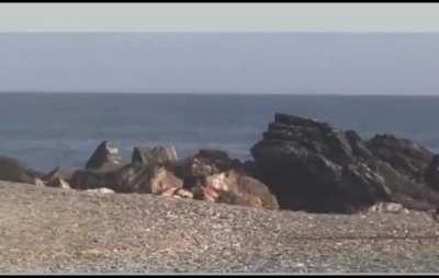 Drug smugglers in Spain mobbed by beach goers.