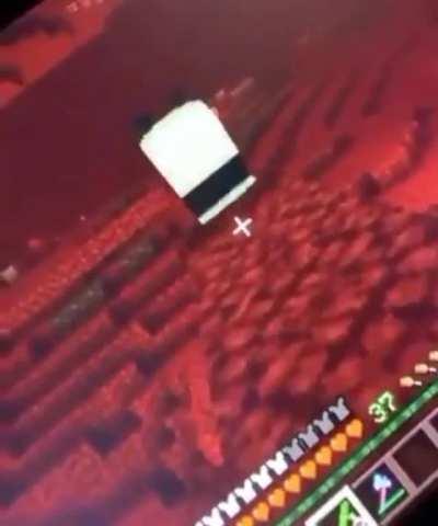 A panda rolling isn’t as cute as you think