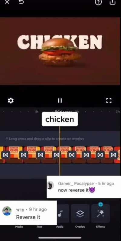 chicken