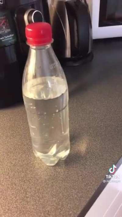 I must be on something today bc every little thing is making me laugh, but this is hilarious 💀