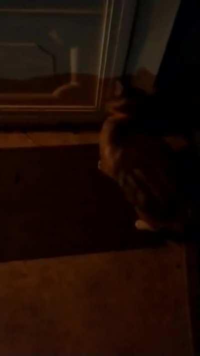 Olaf does not live here. Olaf doesn't care.