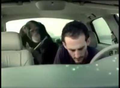 Repost on another sub or the trunk monkey will find you