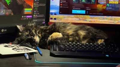 Someone’s having quite the dream.