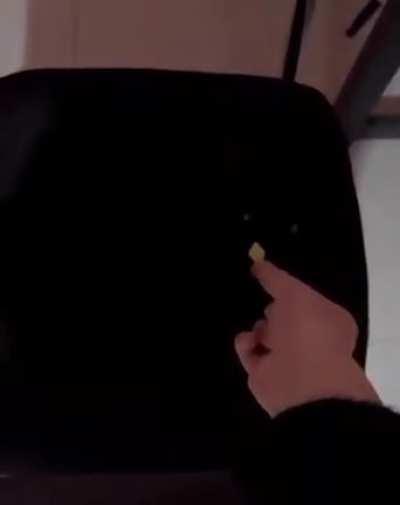 A little offering for the dark lord