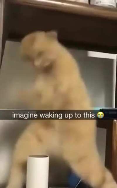 Gleegle is getting too strong. 😬