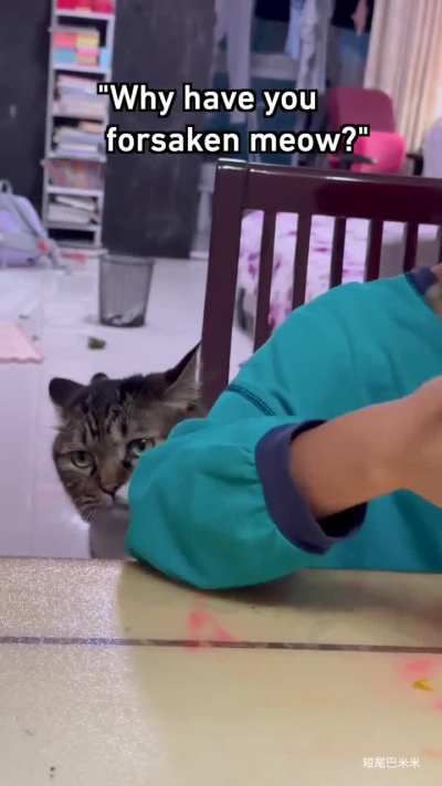 The betrayal 😅 may you have a treats everyday