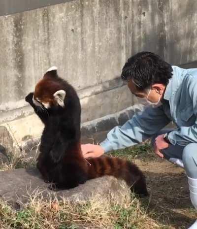 Best job.. (not my original post, but too adorable to resist!)