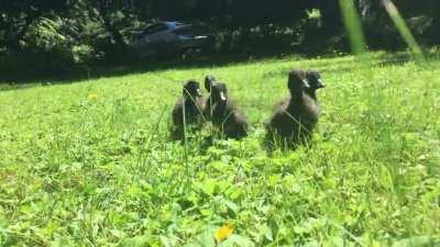 running to mommy :,)