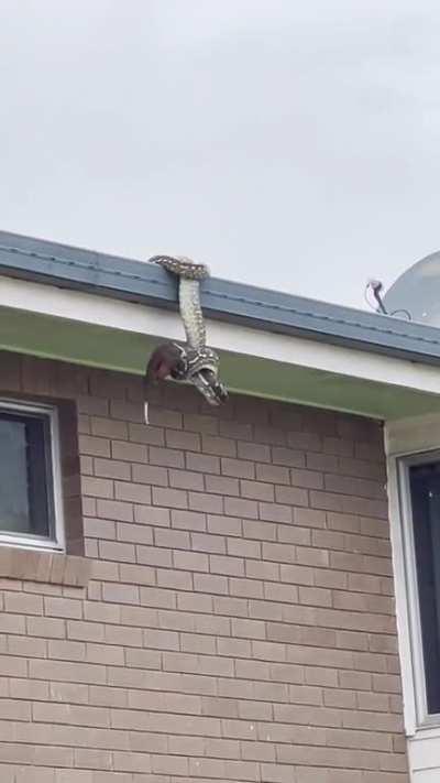 What is proper etiquette?