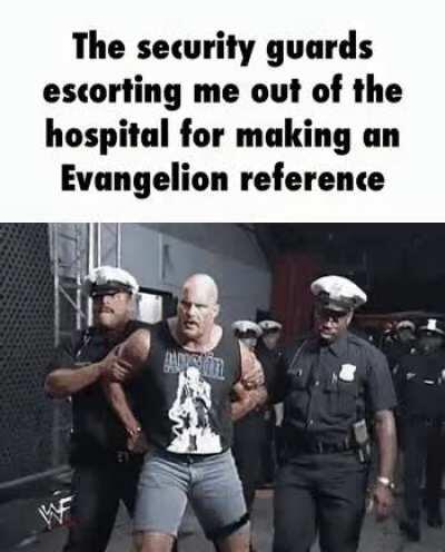 No mister policeman it was for the meme