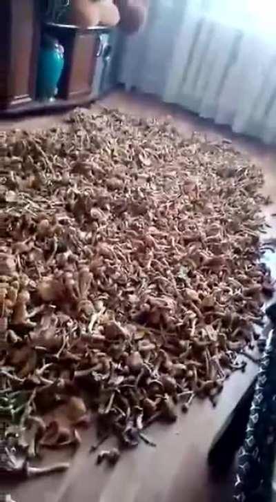 Тот случай когда лучше бы бухал