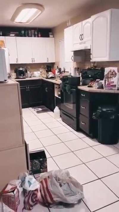 Do you see it 👁️ does it see you 👀