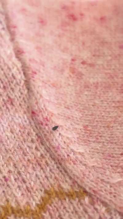 Found on an item of clothing.