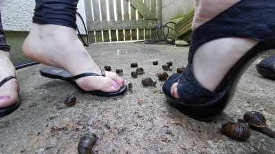 Heels and flats crush snails