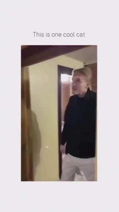 Cat daping up the homies.