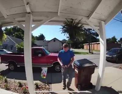 Plant Hits You, You Hit the Plant Right Back!