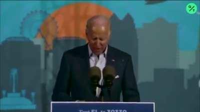 Joe Biden says the N word?(auth right propaganda)