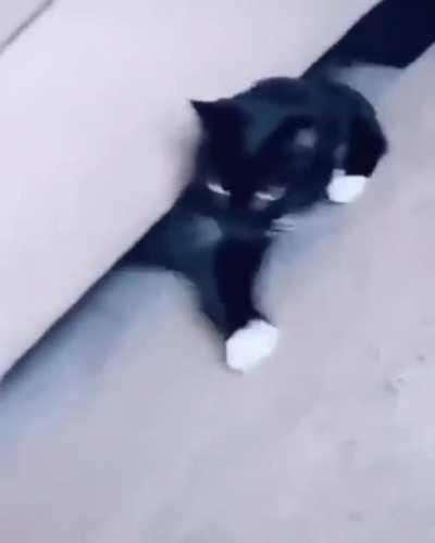 The definition of liquid