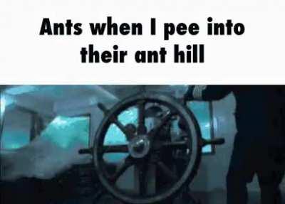 We do a little trolling