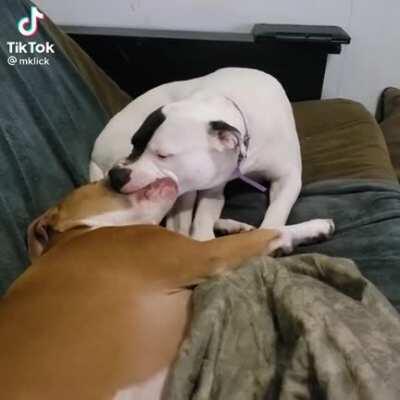 What are they doing?