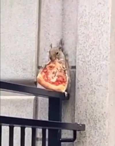 Pizza and 🐿️