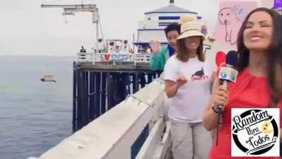 Posting SFW videos I found in NSFW Discord channels Day 88