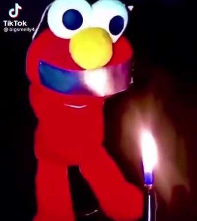 The little Elmo bastard got what he deserved