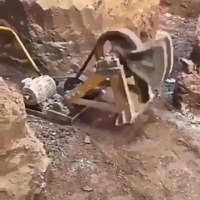 I see nothing in the rules against this majestic creature