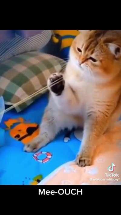 The fact some people record shit like this and think. “This is the one” and post it. Different type of cringe.