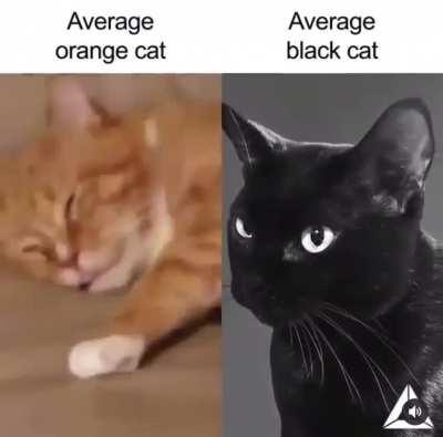 Wilson fans vs raspy enjoyers🥱