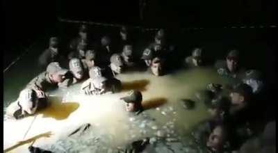 Cadê minhas capivarinhas? 😂😂😂