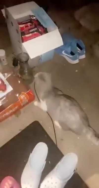 Here, you can have it!