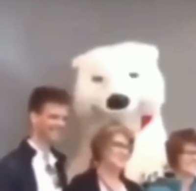 Furry🐻‍❄️irl