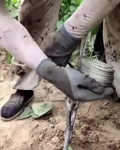 The ingenuity ✌️