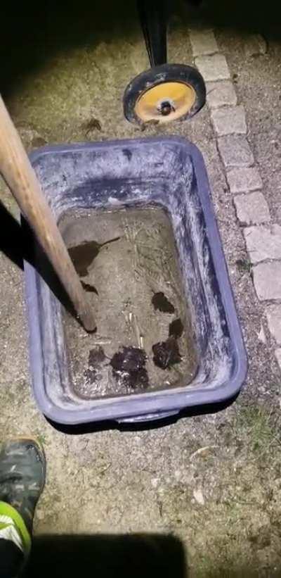 Finally It's my time.