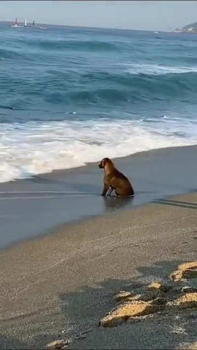 На небе только и разговоров, что о море и о закате...