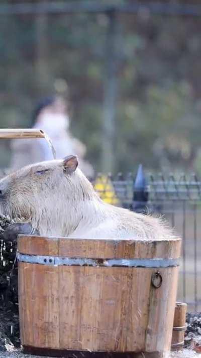 Takes a bath at the hot springs