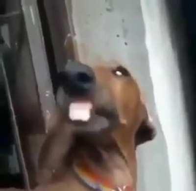 Filho da acre KkkKKKKK