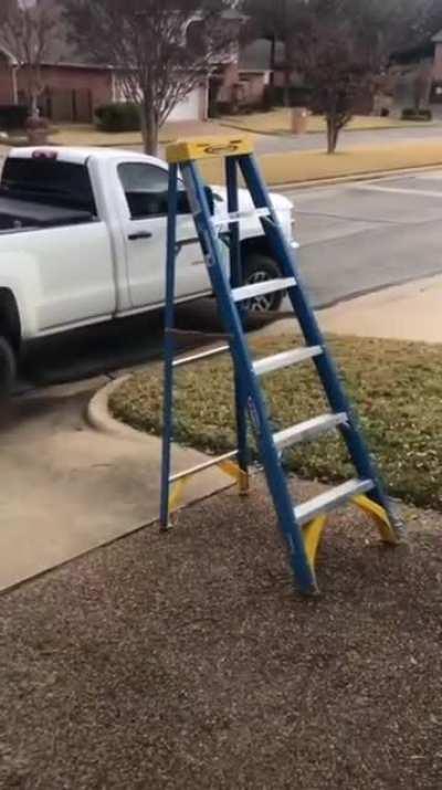 My ladder people need me