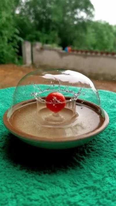 How the bubble does not burst