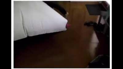 Kitty’s been dealing with this for too long