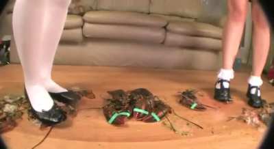 CC Sabrina and (...) lbst mash