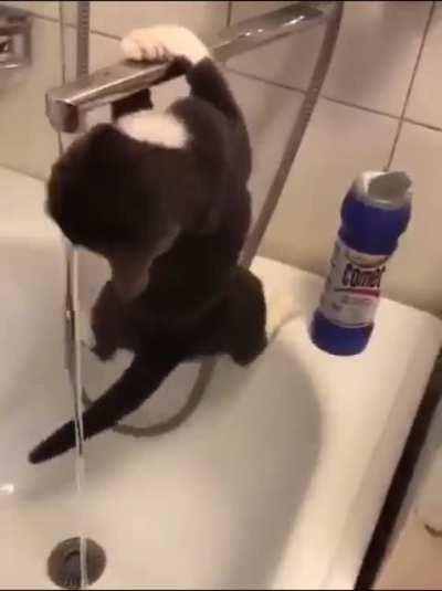 Just let the cat hang there