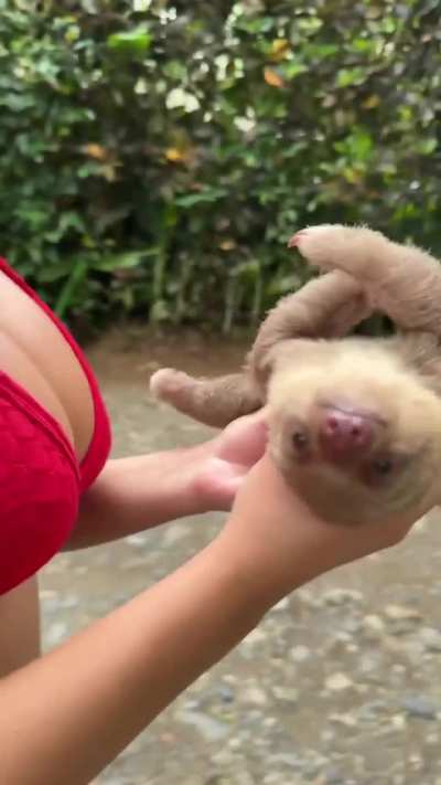 Did anyone see what kind of animal she is carrying?